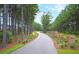 Landscaped entrance lined with trees leading into the neighborhood at 216 Pine Crest View Dr, Summerville, SC 29486