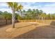 Large backyard with fire pit and palm tree at 230 Granton Edge Ln, Summerville, SC 29486