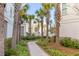 Landscaped pathway lined with palm trees at 310 Longshore St # 645, Daniel Island, SC 29492