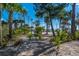 Pathway to the beach through palm trees at 367 Pelican Flight Dr, Dewees Island, SC 29451