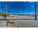 Expansive beach with palm trees and blue ocean at 367 Pelican Flight Dr, Dewees Island, SC 29451