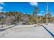 Beachfront home with palm trees and ocean views at 367 Pelican Flight Dr, Dewees Island, SC 29451