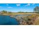 Scenic marsh with calm waters and lush vegetation at 367 Pelican Flight Dr, Dewees Island, SC 29451