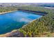 Aerial perspective of a tranquil lake bordered by a dense pine forest at 566 Richfield Way, Summerville, SC 29486