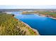High-angle view of a vast lake and surrounding pine forest at 566 Richfield Way, Summerville, SC 29486