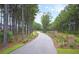 Attractive community entrance lined with trees and brick columns at 566 Richfield Way, Summerville, SC 29486