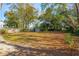 Large backyard with shed and trees at 1216 Ashley Hall Rd, Charleston, SC 29407