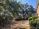 Scenic backyard featuring mature trees, lush greenery, and a tranquil atmosphere at 19 Fort Royal Ave, Charleston, SC 29407