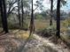 Wooded area with marsh views at 19 Fort Royal Ave, Charleston, SC 29407