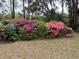 Well-maintained yard with a diverse hedge of colorful azaleas and lush greenery, offering a serene outdoor view at 19 Fort Royal Ave, Charleston, SC 29407