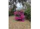 Yard featuring a vibrant pink azalea bush, complemented by green foliage and scattered leaves on the ground at 19 Fort Royal Ave, Charleston, SC 29407