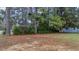 Large grassy lot surrounded by mature trees and foliage at 206 Dukes St, Saint George, SC 29477