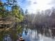 Scenic lake view with calm water and lush trees at 218 Cat Hole Ln, Branchville, SC 29432