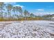 Snowy backyard with tall trees at 261 Firewheel Ct, Summerville, SC 29486