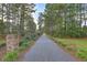 Landscaped entrance drive with brick columns and pine trees at 261 Firewheel Ct, Summerville, SC 29486