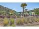 Community pool area with fence, palm trees, and umbrellas at 261 Firewheel Ct, Summerville, SC 29486
