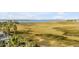 Scenic marsh view with palm trees and glimpses of the building in the distance at 355 Cooper River Dr, Mount Pleasant, SC 29464