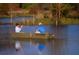 Two people enjoying a relaxing fishing trip on a calm lake at 391 Wappoo Trace Ln, Summerville, SC 29486