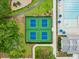 Two well-maintained pickleball courts at 4041 Oxeye Loop, Johns Island, SC 29455