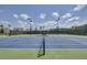 Two well-lit tennis courts with a center net at 482 Hidden Meadow Ln, Summerville, SC 29486