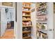 Well-organized pantry with ample shelving for food storage at 531 Switchgrass Dr, Summerville, SC 29486
