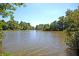 Beautiful lake view with lush greenery at 234 Swamp Creek Ln, Moncks Corner, SC 29461