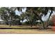 Open field with mature oak trees, Spanish moss, and a section of privacy fence at 2976 Lodge Berry Ln, Johns Island, SC 29455