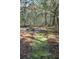 Peaceful backyard with a fire pit and natural setting at 6321 Bears Bluff Rd, Wadmalaw Island, SC 29487