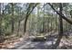 Stone firepit nestled in a wooded backyard setting at 6321 Bears Bluff Rd, Wadmalaw Island, SC 29487