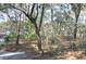View of a wooded area surrounding the property with a gravel driveway at 6321 Bears Bluff Rd, Wadmalaw Island, SC 29487