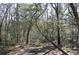 Fire pit area in a wooded backyard setting with a fallen tree at 6321 Bears Bluff Rd, Wadmalaw Island, SC 29487
