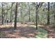 Wooded area with a firepit and walking path at 6321 Bears Bluff Rd, Wadmalaw Island, SC 29487