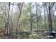 Wooded area behind the property with a path at 6321 Bears Bluff Rd, Wadmalaw Island, SC 29487