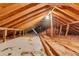 Exposed attic with rafters and beams shows the construction materials and potential for improvement at 101 Winston Cir, Summerville, SC 29485