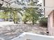 View of the spacious backyard with mature trees offering shade and privacy at 227 Bailey St, Walterboro, SC 29488