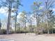 A heavily treed backyard featuring multiple varieties of trees and surrounding landscape at 227 Bailey St, Walterboro, SC 29488