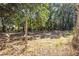 Open wooded area with sparse undergrowth at 2517 Charter Oaks Dr, Mount Pleasant, SC 29466