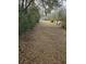 Long yard leading to house at 2830 Wire Rd, Saint George, SC 29477