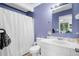 Bathroom with blue walls and a white vanity, offering a clean and serene atmosphere, perfect for relaxation at 313 Lapwing Ln, Mount Pleasant, SC 29464