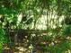 View of wooded landscaping surrounding the property, offering privacy and tranquility at 619 Magnolia Walk Villas, Edisto Island, SC 29438