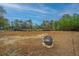 Spacious backyard with fire pit, pond view, and mature trees at 788 Awendaw Lakes Blvd, Awendaw, SC 29429