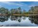 Stunning reflection of trees and sky on calm pond waters at 788 Awendaw Lakes Blvd, Awendaw, SC 29429