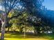 Expansive green backyard under the shade of mature trees at 1402 Camp Rd # 15H, Charleston, SC 29412