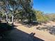 Expansive green backyard shaded by mature trees at 1402 Camp Rd # 15H, Charleston, SC 29412