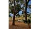 Scenic backyard view with lush greenery, mature trees, and a pond in the background at 16 Twin Oaks Lane Ln, Isle of Palms, SC 29451