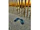Beach view with a fence, flip flops, and peaceful sandy shore at sunset at 16 Twin Oaks Lane Ln, Isle of Palms, SC 29451