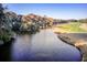 Picturesque golf course view featuring a serene waterway bordered by lush trees and manicured fairways at 16 Twin Oaks Lane Ln, Isle of Palms, SC 29451