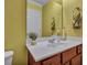 Bathroom vanity with a white countertop, wooden cabinets, and a decorative plant at 3632 Locklear Ln, Mount Pleasant, SC 29466