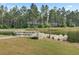 Picturesque lakefront dock with a metal gangway and lush green surroundings offering serene waterfront access at 376 Tupelo Lake Dr, Summerville, SC 29486