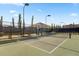 Well-maintained tennis court with lighting, surrounded by fencing and landscaping, perfect for recreational play at 376 Tupelo Lake Dr, Summerville, SC 29486